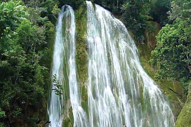 Samaná Full-Day Cultural Adventure Tour From Santo Domingo - Key Points