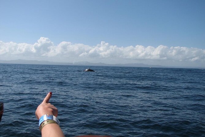 Samaná Whale Watching Excursion and Cayo Levantado Adventure From Punta Cana - Pickup and Confirmation Details