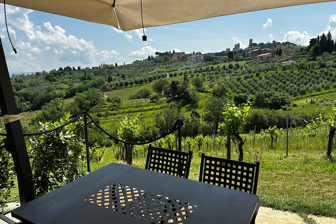 San Gimignano Afternoon Vineyard Break - Good To Know