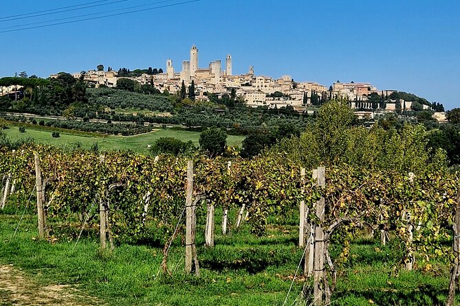 San Gimignano and Siena Private Wine Tasting Tour With Lunch - Good To Know