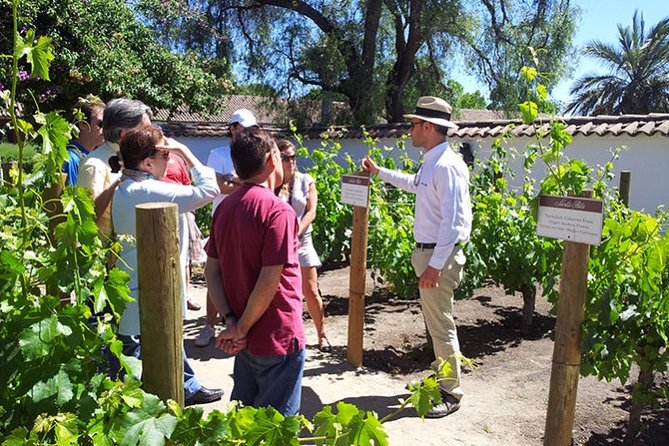 Santa Rita Winery - Tour With Tasting - Tour Highlights and Experiences