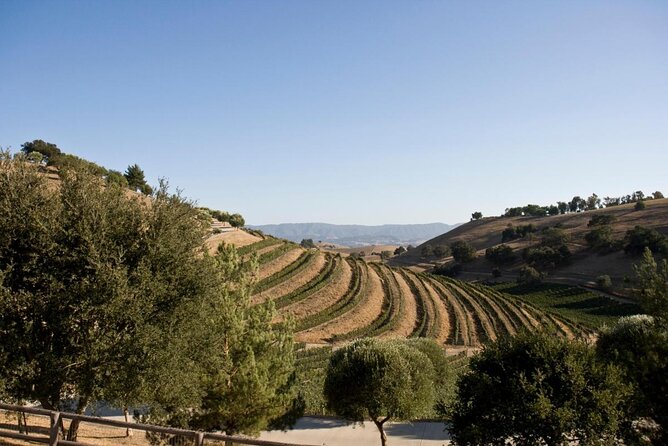 Santa Ynez Valley Cupcake & Wine Tour (All-Inclusive & Full-Day) - Good To Know