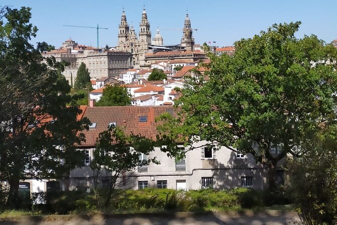 Santiago De Compostela: Walking Tour With a Local Guide - Meeting and Pickup Information