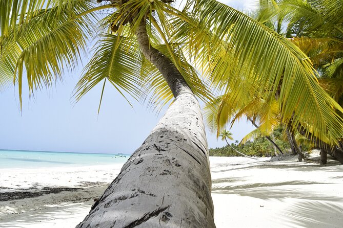 Santo Domingo Saona Island Catamaran Tour With Lunch & Bar - Transportation and Itinerary