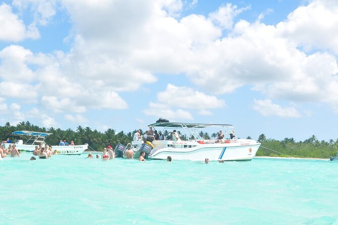 Saona Island Full-Day Tour From Santo Domingo - Tour Overview