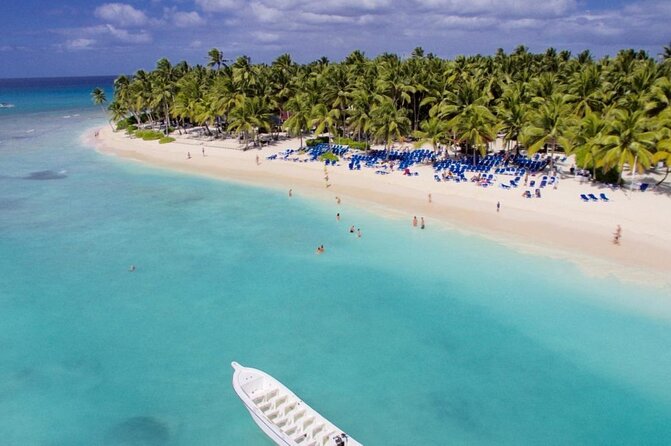 Saona Island Tour: All Buffet, Speedboat Catamaran - Key Points