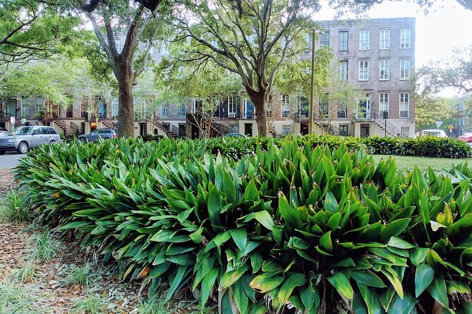 Savannah Irish History Walking Tour Review - Tour Overview