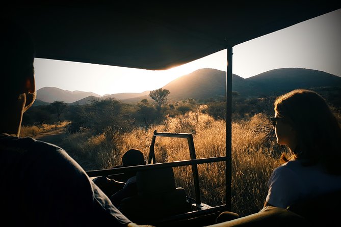 Scenic Game Drive Activity - Good To Know