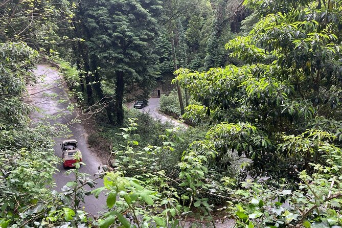 Scenic Hiking Tour in Sintra - Key Points