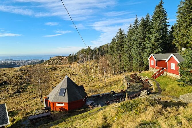 Scenic Tour to Steinsfjellet, Locals at Kringsjå & Rising Tide - Good To Know