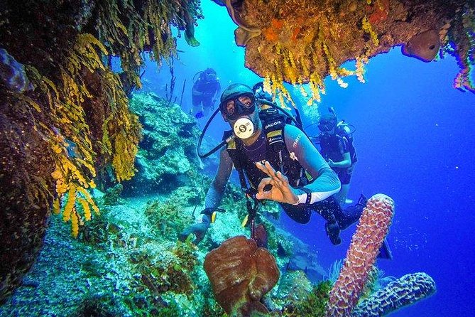 Scuba Diving at Catalina Island - All Inclusive - Full Day Tour - Key Points