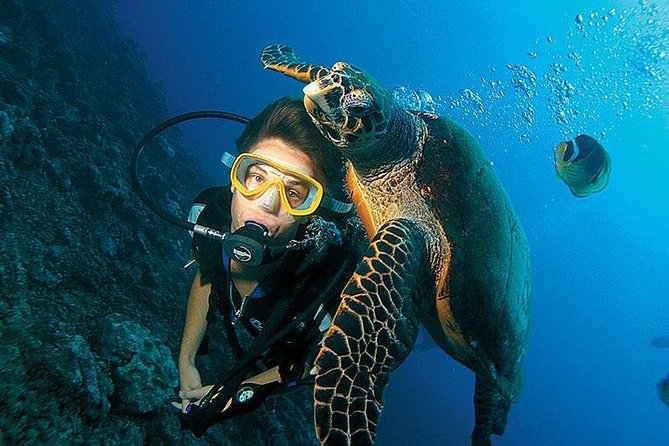 Scuba Diving Full of Adrenaline in Antalya - Good To Know