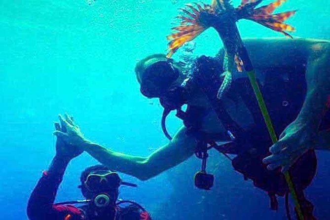 Scuba Diving Sustainable Lion Fish Spearfishing - About Your Stay