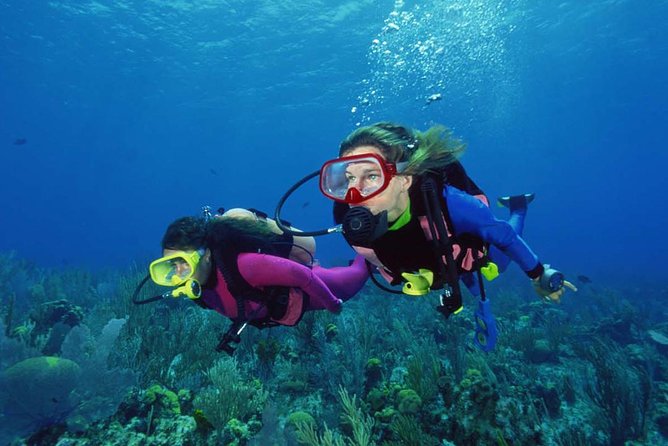 Scuba Diving Tour From Alanya - Side - Antalya - Overview of the Tour