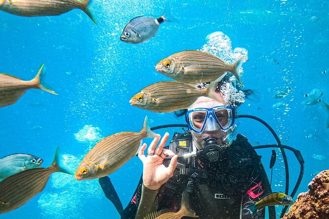 Scuba Diving Tour in Antalya - Key Points