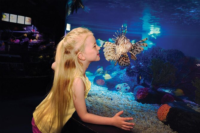 Sea Life Charlotte Concord Aquarium Admission Ticket - Good To Know