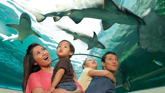 SEA LIFE Orlando Aquarium - Good To Know