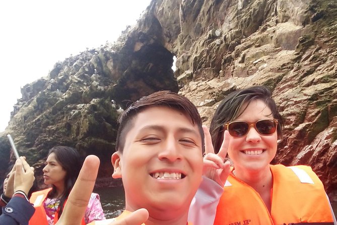 Sea Lions !!! Experience in the Ocean - About Your Stay