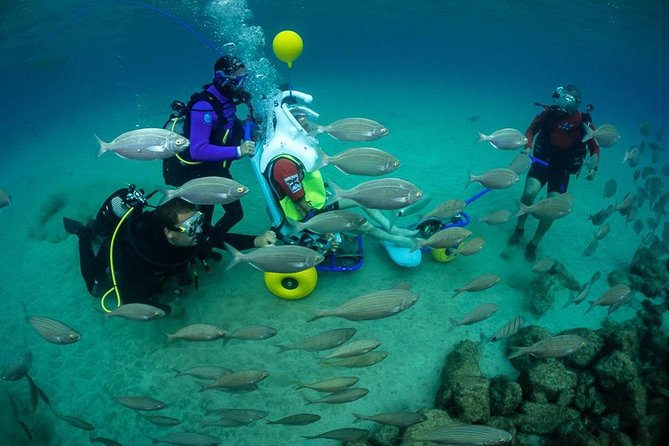 Sea Trek and Diving for Handicaped People - Good To Know