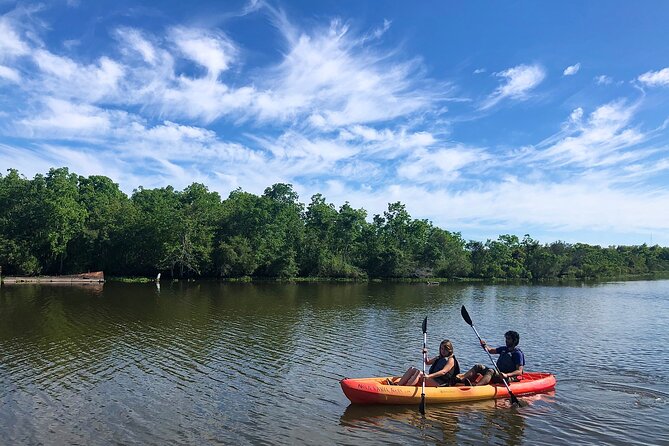 Self Guided Kayak Bayou Swamp Tour - Good To Know
