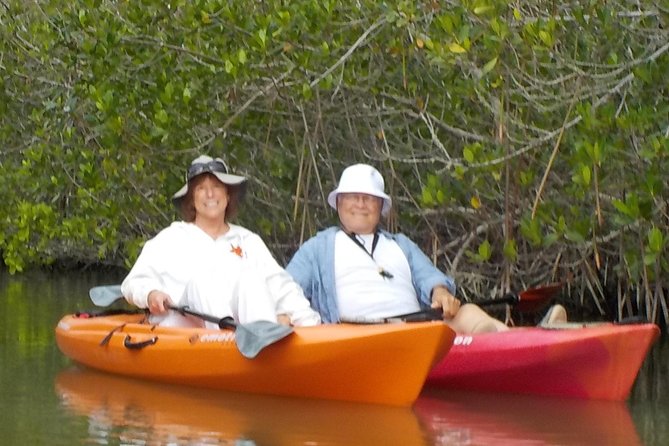 Self-Guided Kayaking Manatee and Dolphin Tour - Good To Know