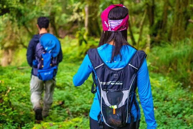 Self-Guided Walk in the Iral Cloud Forest Trails - About Your Stay
