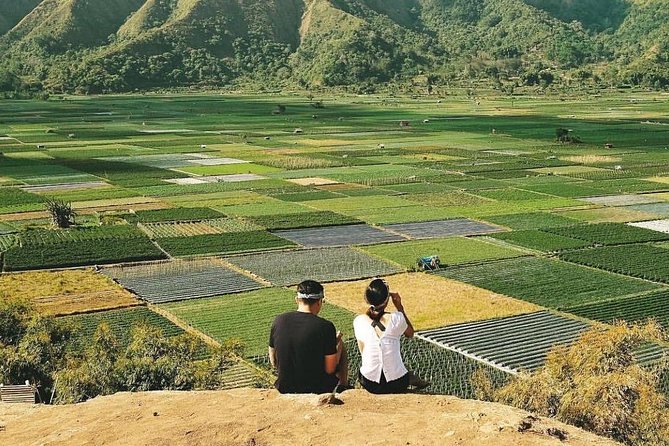 Sembalun Package.. (Special Rice Terrace View) - Good To Know