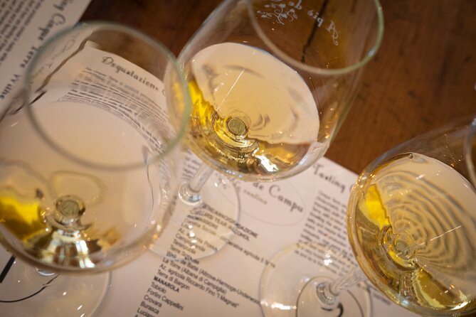 Sensorial Wine Tasting in Manarola, Cinque Terre - Good To Know