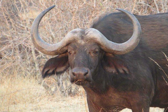 Serengeti N. Park_ Lake Manyara and Tarangire National Park - Key Points