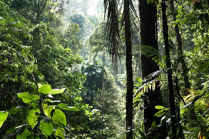 Shared Shuttle Manuel Antonio to Monteverde - About Your Stay