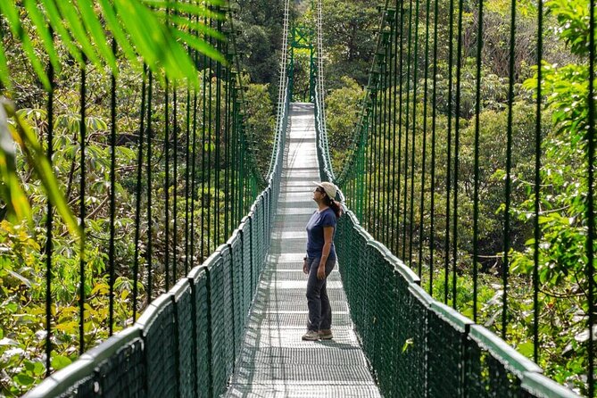Shared Shuttle San Jose to Monteverde - About Your Stay