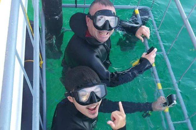 Shark Cage Diving - Overview of the Experience