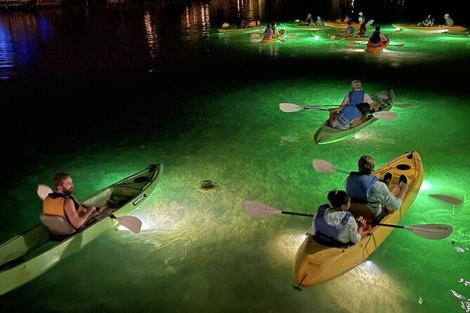 Sharkeys Glass Bottom Fish Feeding LED Night Tour in Clearwater - Key Points