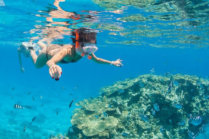 Sharm El-Sheikh: White Island & Ras Mohamed Cruise Adventure - Key Points