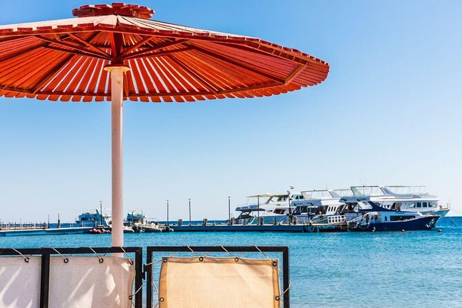 Shore Excursion - Enjoy Luxor One Day Tour From Safaga Port - Key Points