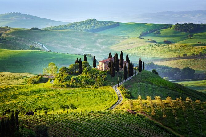 Shore Excursion From Florence to San Gimignano and Siena - Key Points