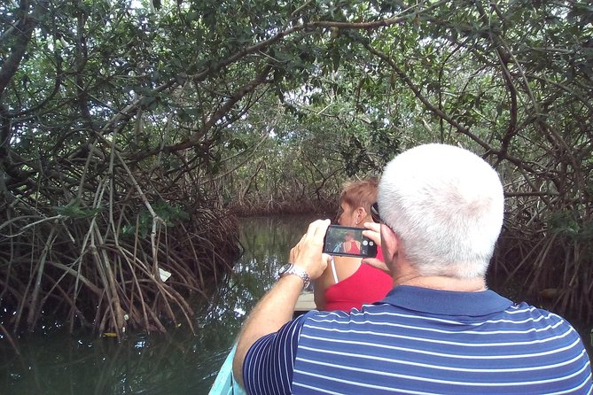 Shore Excursion Mangroves Tour - About Your Stay