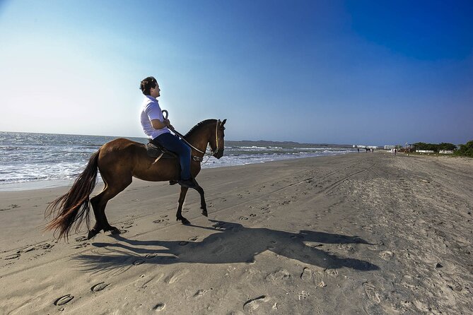 Shore Mangrove Tour + Lunch + Horse Riding + Fishing Classes - Overview of the Tour