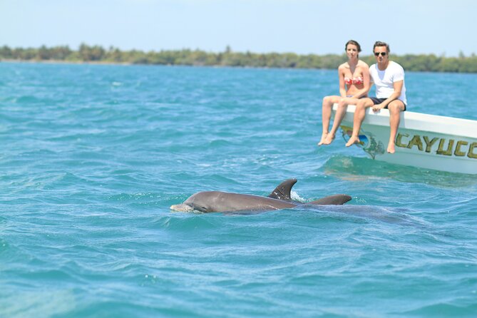 Sian Kaan Adventure Full Day Trip to Punta Allen - Key Points