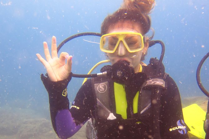 Side: Scuba Diving Under Water Museum - Key Points