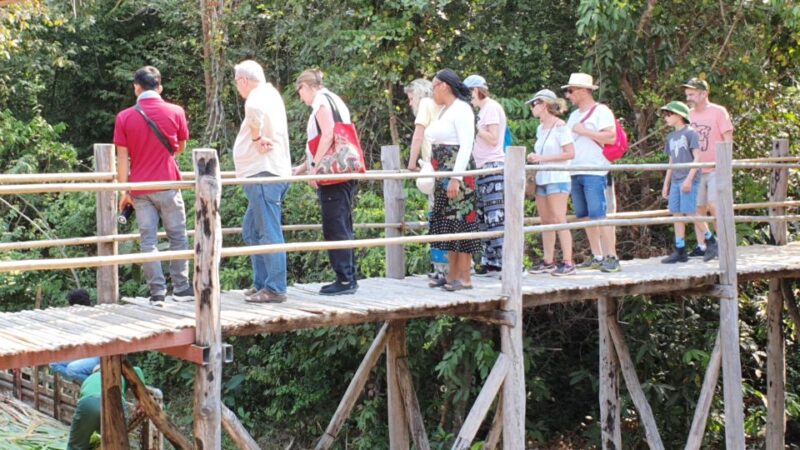 Siem Reap: Small Group Tour of Kulen Elephant Forest - Experience Highlights