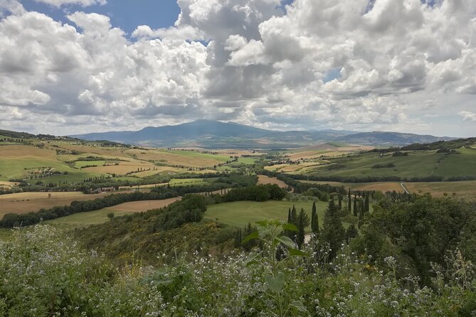 Siena to Rome: Orvieto and Montepulciano Transfer Tour - Overview of the Transfer Tour