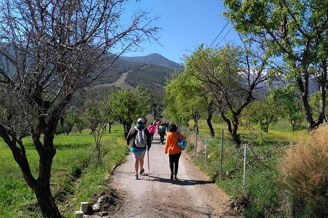 Sierra De Aracena: Grotto of Wonders, Hiking and Ecological Picnic. - Key Points