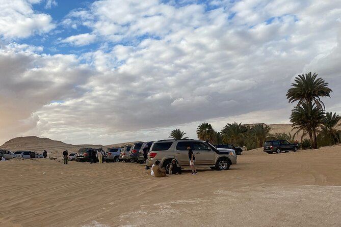 Siwa Safari Tour - Overview of the Siwa Safari Tour