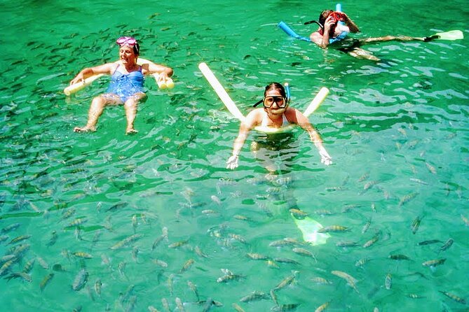 Six Hour Speedboat Tour of Ilha Grande. Be Amazed by the Blue and Green Lagoons