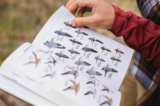 Skagit Valley Birding + Deception Pass Day Tour From Seattle - About Your Stay