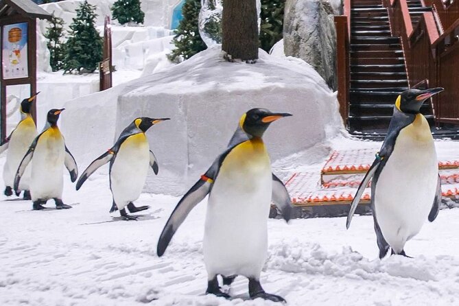 Ski Dubai Full Day Admission Ticket - Good To Know