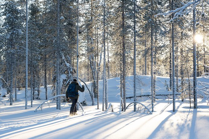 Ski Trek to the Wilderness - Extra Small Group - Viator Help Centre