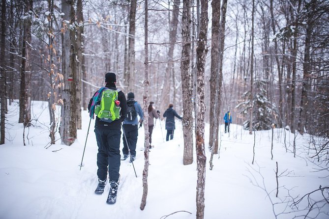 Skiing (Hok Ski) Excursion in Jacques-Cartier National Park - Good To Know