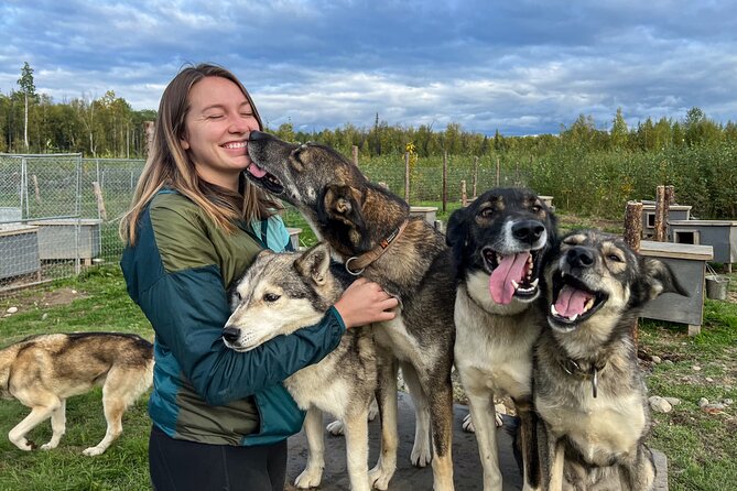 Sled Dog Kennel Tour - Good To Know